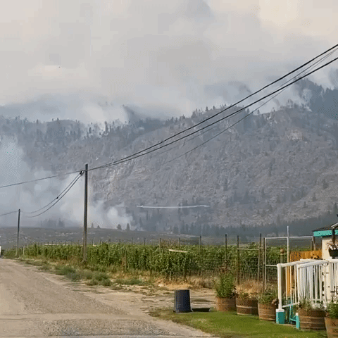 Nk'Mip Creek Wildfire Forces Evacuations in British Columbia