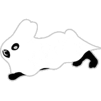 Happy Halloween Sticker by kittybunnypony