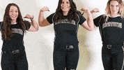 Softball Roll Pards GIF by Lafayette Leopards
