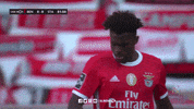 Sl Benfica Slbgif GIF by Sport Lisboa e Benfica