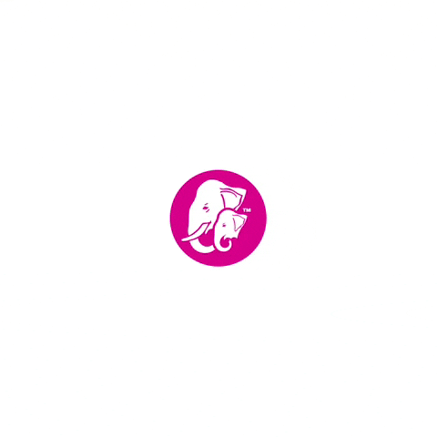 ElephantAttaofficial pink cooking sunshine sunny GIF