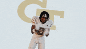 Georgia Tech Football Sport GIF by Georgia Tech Yellow Jackets