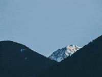 You Can Wow GIF by FranchiseONE.de