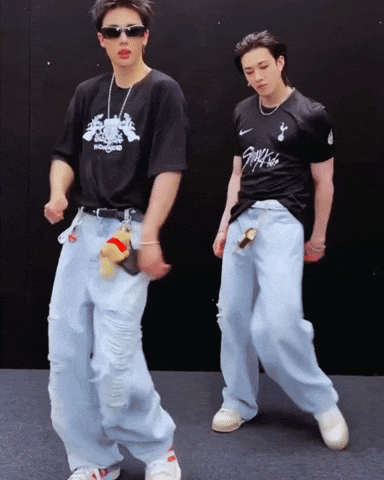 Skz Straykids GIF