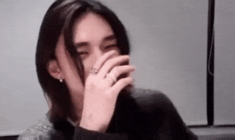 Straykids GIF