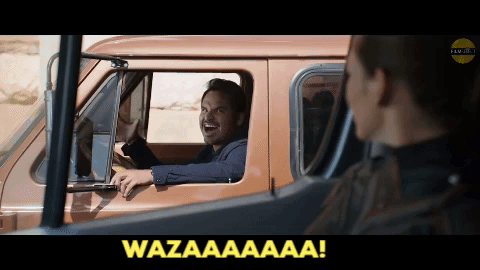 ant-man and the wasp GIF
