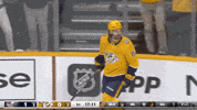 Happy Ice Hockey GIF by NHL