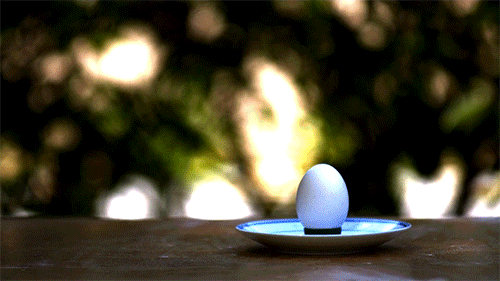 vs egg GIF
