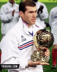 Zidane GIF
