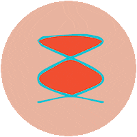 thewavepodcasting podcasting the wave sound wave thewavepodcasting Sticker