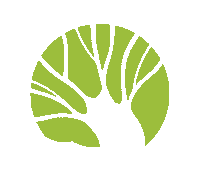 Arbol Ferreries Sticker by Més Menorca