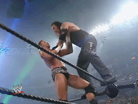 wwe sports wwe wrestling summerslam GIF