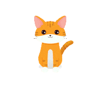 Pet Gatos Sticker by QualidyOficial