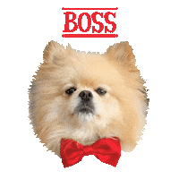Out Of Office Dog Sticker