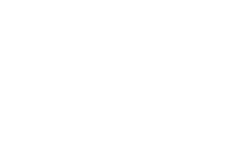 Summer Sunset Sticker