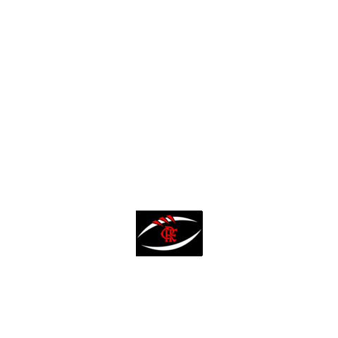 Football Flag Sticker by Flamengo Imperadores