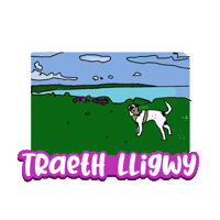 Ynys Mon Anglesey Sticker