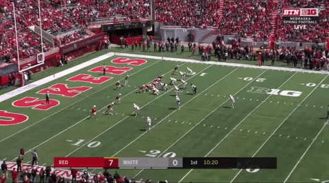 DrPeteyHV giphygifmaker GIF
