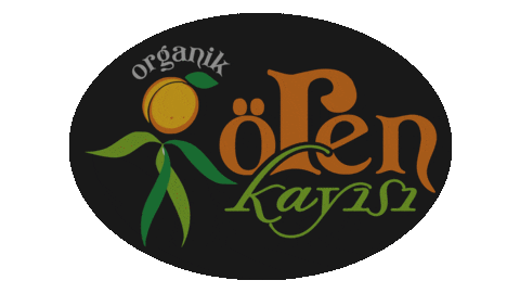 orenkayisi giphyupload Sticker