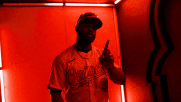 Major League Baseball No GIF by Baltimore Orioles