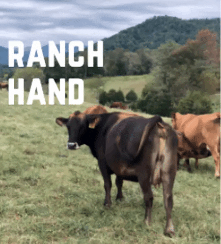 fisherguiding giphygifmaker GIF