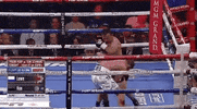 toprank fight boxing fighting espn GIF