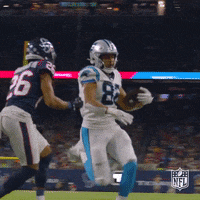 Happy Carolina Panthers GIF by NFL