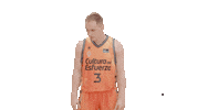 Liga Endesa Basketball Sticker by ACB