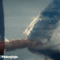 Fish Heights GIF by Warner Bros. Pictures