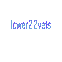 lower22vets mentalhealth ptsd suicideawareness vetshelpingvets Sticker