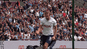 tottenham hotspur GIF