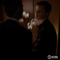 Season 2 Ian GIF by Shameless
