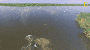 Kayaking Nat Geo GIF by National Geographic Channel