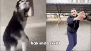 Dance Dancing GIF