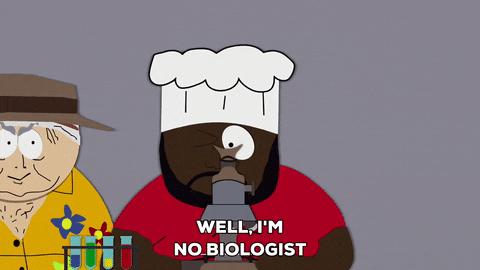 chef looking GIF by South Park 