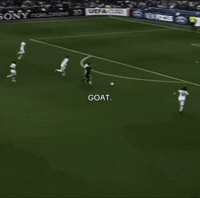 World Cup Argentina GIF
