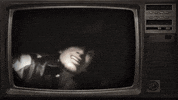 Dom GIF by New 11