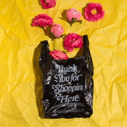 flowers garbage GIF by Phyllis Ma