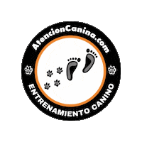 Dog Puppy Sticker by Atención Canina
