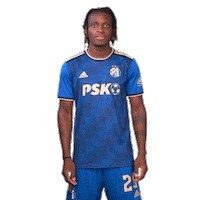 Football Soccer Sticker by GNK Dinamo
