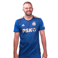 Football Soccer Sticker by GNK Dinamo