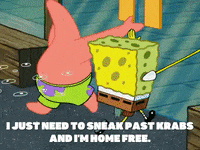 season 5 episode 6 GIF by SpongeBob SquarePants