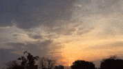 Cant Stop Wont Stop GIF by bryan