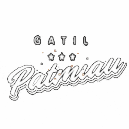 GatilPatmiau giphygifmaker giphygifmakermobile GIF