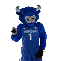Swipe Up University At Buffalo Sticker by ubuffalo