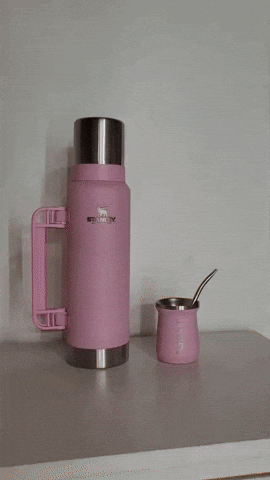 lucasff2 giphyupload GIF