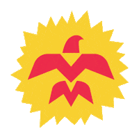 Birds Birding Sticker by National Audubon Society