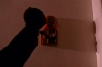 season 1 GIF by Twin Peaks on Showtime