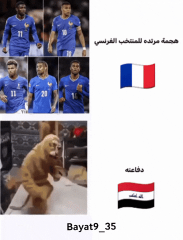 World Cup Iran GIF