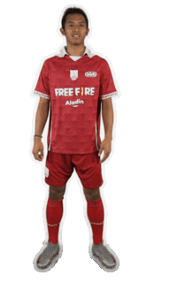 Persis Solo Sticker by Persisofficial
